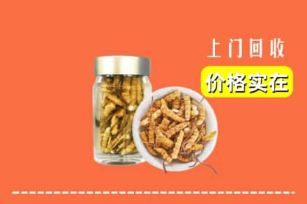 收购资讯:哈密伊吾县回收散虫草