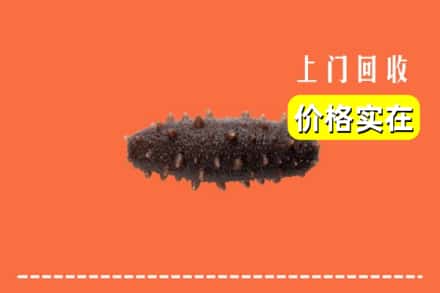 收购资讯:哈密伊吾县回收海参