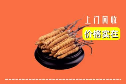 收购资讯:哈密伊吾县回收冬虫夏草