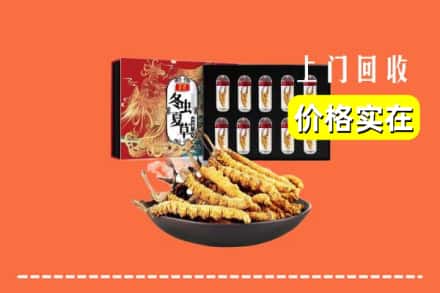 哈密伊吾县回收虫草